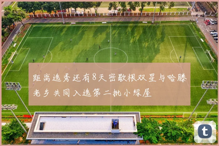 距离选秀还有8天密歇根双星与哈滕老乡共同入选第二批小绿屋